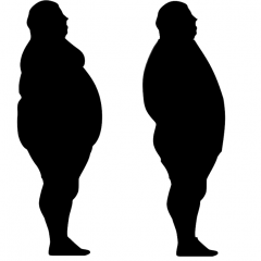 Explaining Fat Loss (Part 2: Regulation)