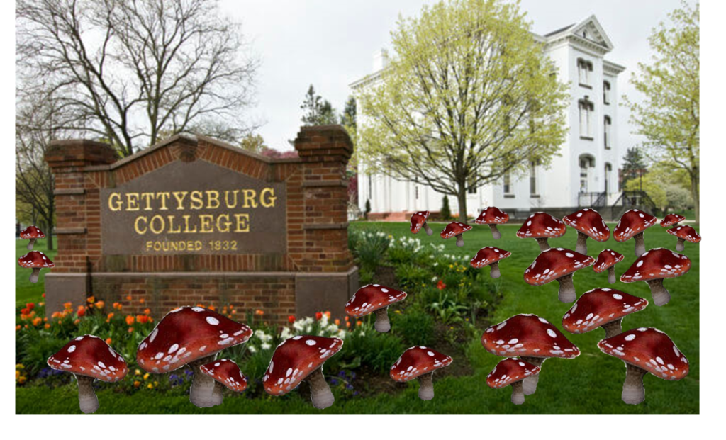 (Photo courtesy of Gettysburg College)