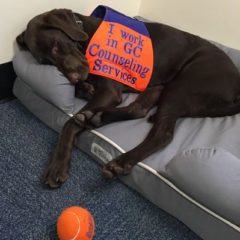 Mental Health Fair: An Opportunity for Mental and Emotional Support