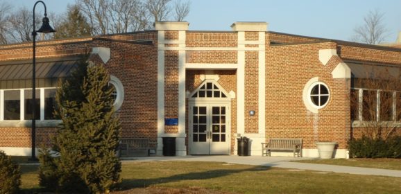 Power In Numbers: The Herd Mentality of Cancel Culture