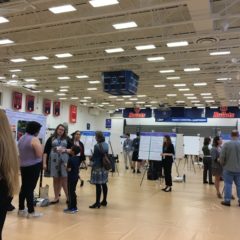 Undergraduate Research on Display at Celebration 2019