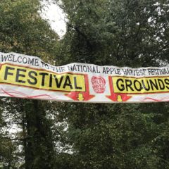 Gettysburg Students and Community Members Visit Biglerville’s 55th National Apple Harvest Festival