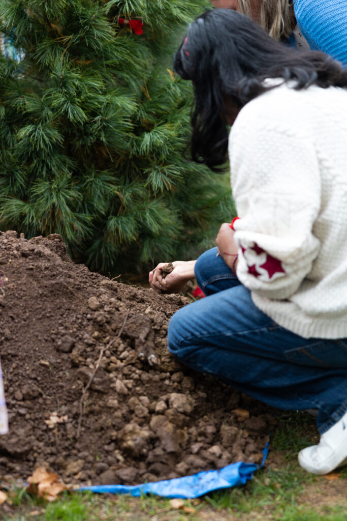 Students help plant the Tree of Peace at the Land Acknowledgement Dedication on Oct. 13, 2022 (Photo Eric Lippe/The Gettysburgian).