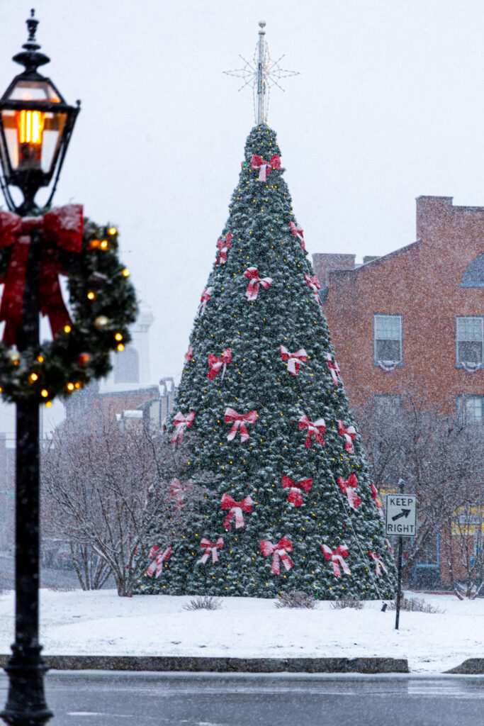 The Christmas tree in Gettysburg at the time of filming "A Gettysburg Christmas" (Photo Eric Lippe/The Gettysburgian)