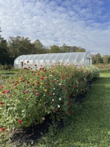 The Painted Turtle Farm (Photo Heather Wirick/The Gettysburgian)