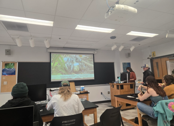 Professor Tasha Gownaris Hosts Seminar “Making a Marine Scientist”