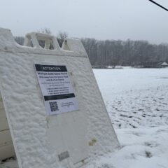 Quarry Pond Temporarily Closed as Several Dead Geese Are Tested for Bird Flu 