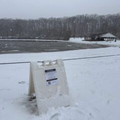 Quarry Pond Geese Test Positive for Bird Flu