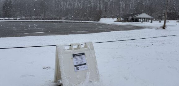 Quarry Pond Geese Test Positive for Bird Flu