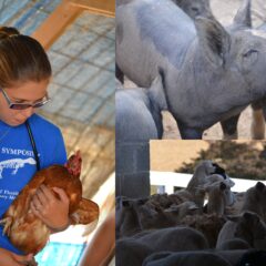 Pre-Vet Club visits Evermore Farm