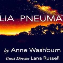 Review: ‘Antlia Pneumatica’