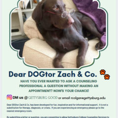 Introducing New Column: Dear Dogtor Zach